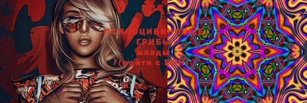 первитин Лиски