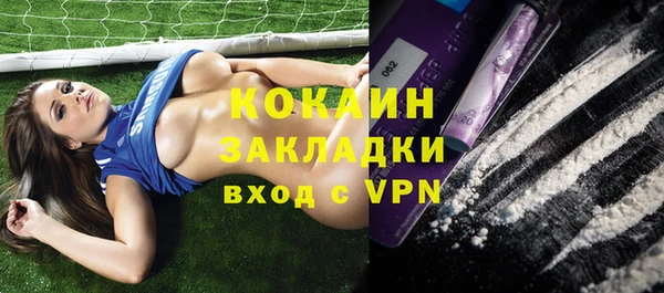 шишки Лихославль