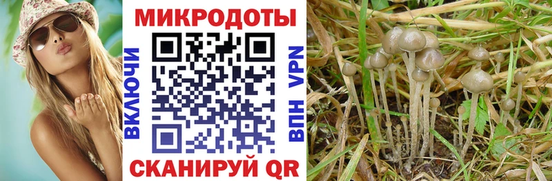 Купить закладки  Екатеринбург  Галлюциногенные грибы Cubensis 